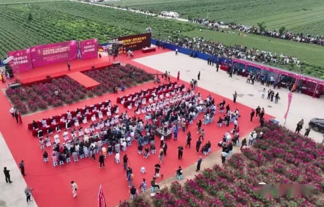 微信图片_20230512154441.jpg