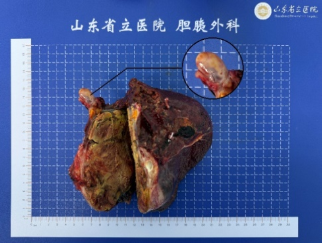 图片3_副本.png